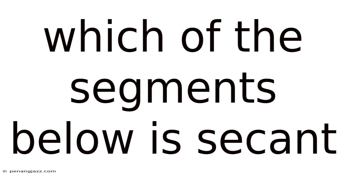 Which Of The Segments Below Is Secant