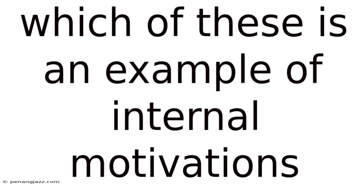 Which Of These Is An Example Of Internal Motivations