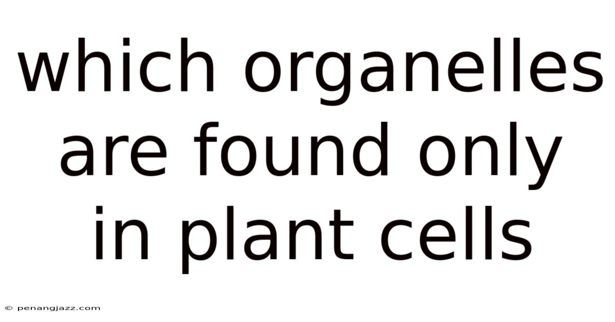 Which Organelles Are Found Only In Plant Cells