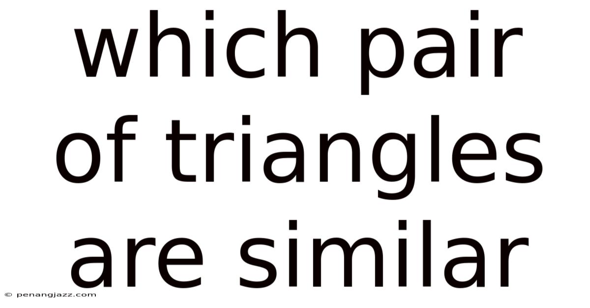 Which Pair Of Triangles Are Similar