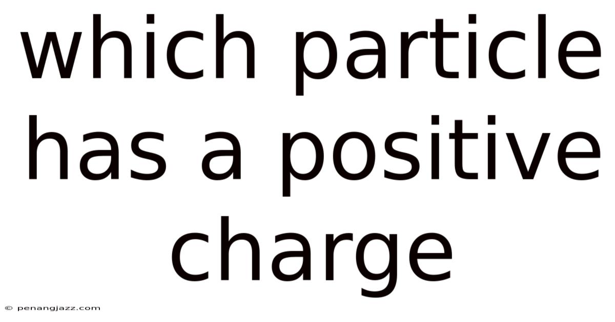 Which Particle Has A Positive Charge
