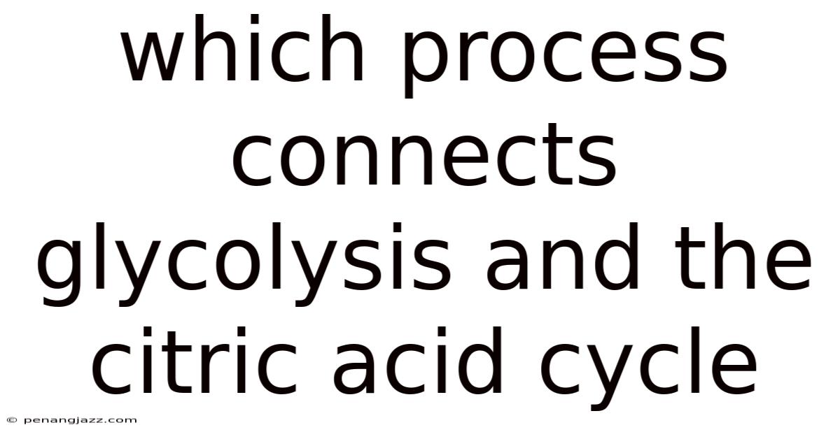 Which Process Connects Glycolysis And The Citric Acid Cycle