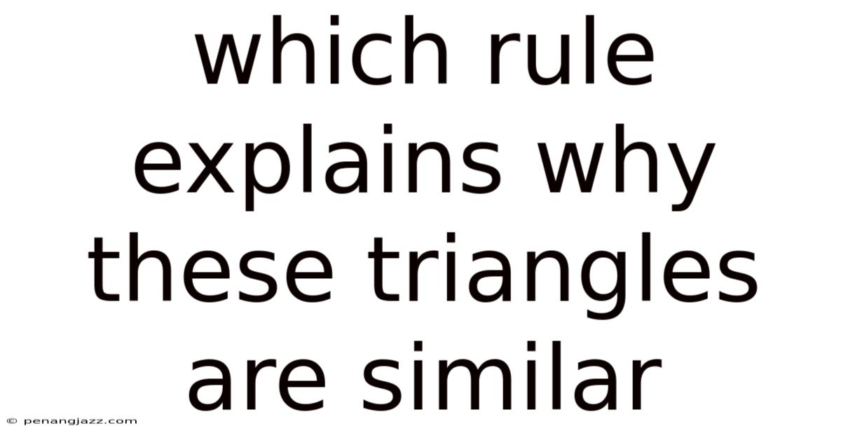 Which Rule Explains Why These Triangles Are Similar
