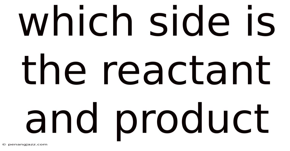 Which Side Is The Reactant And Product