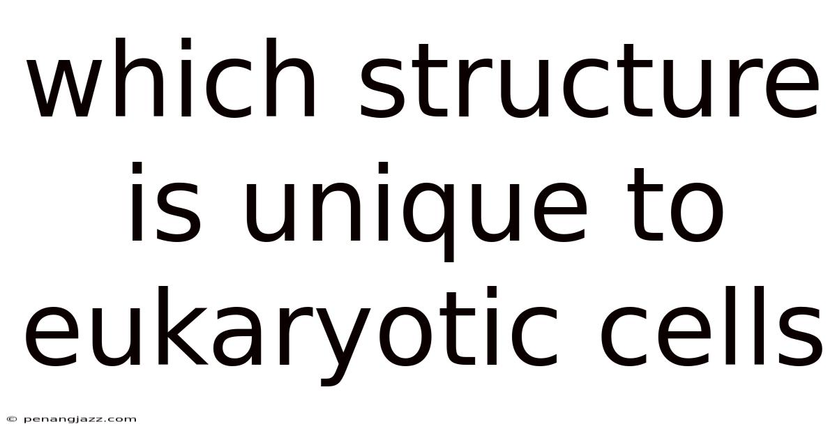 Which Structure Is Unique To Eukaryotic Cells