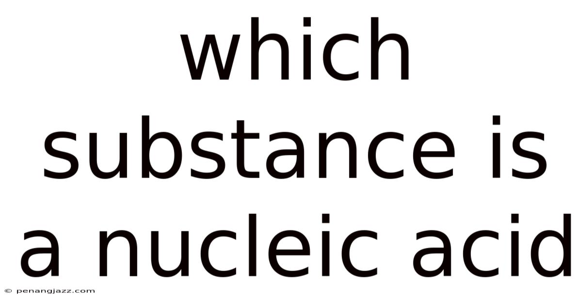 Which Substance Is A Nucleic Acid