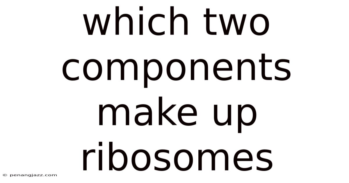 Which Two Components Make Up Ribosomes