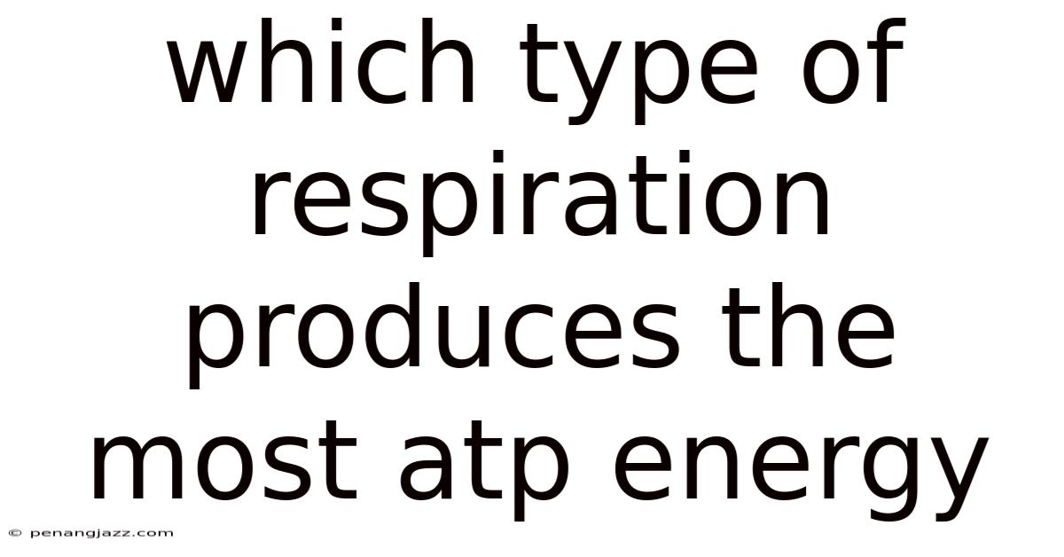 Which Type Of Respiration Produces The Most Atp Energy