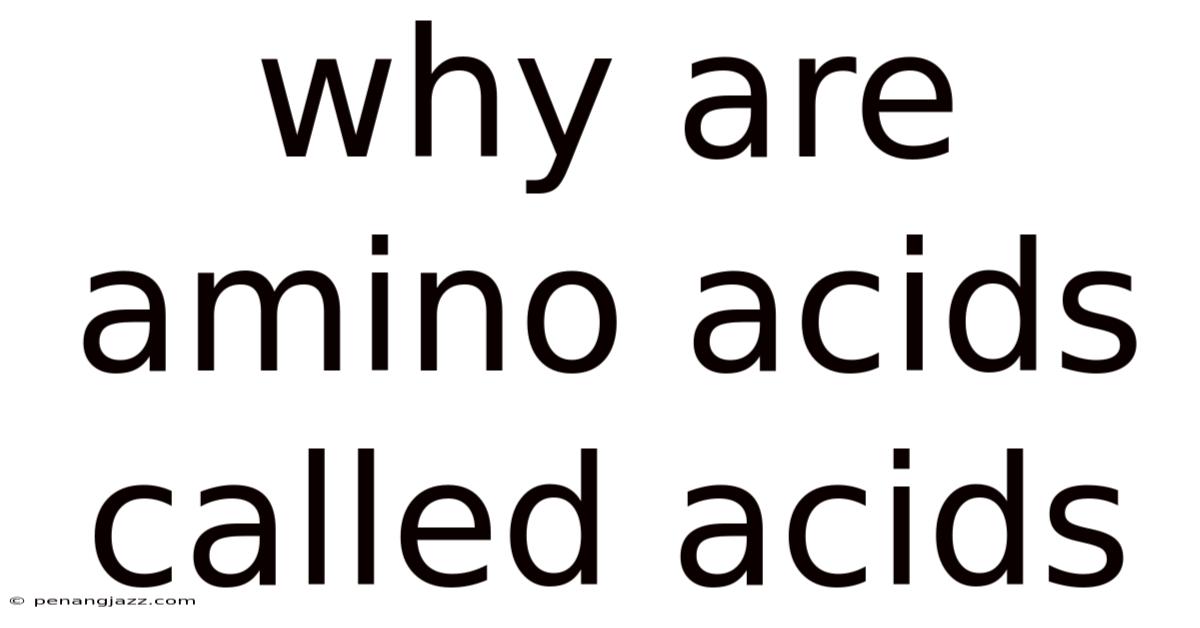 Why Are Amino Acids Called Acids