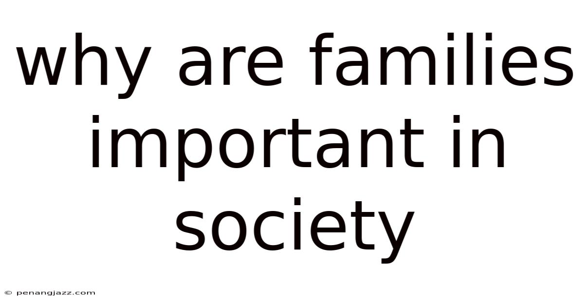 Why Are Families Important In Society
