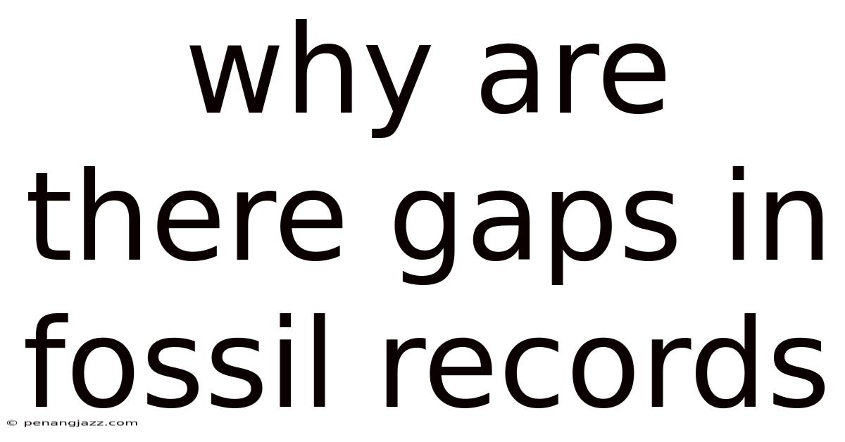 Why Are There Gaps In Fossil Records