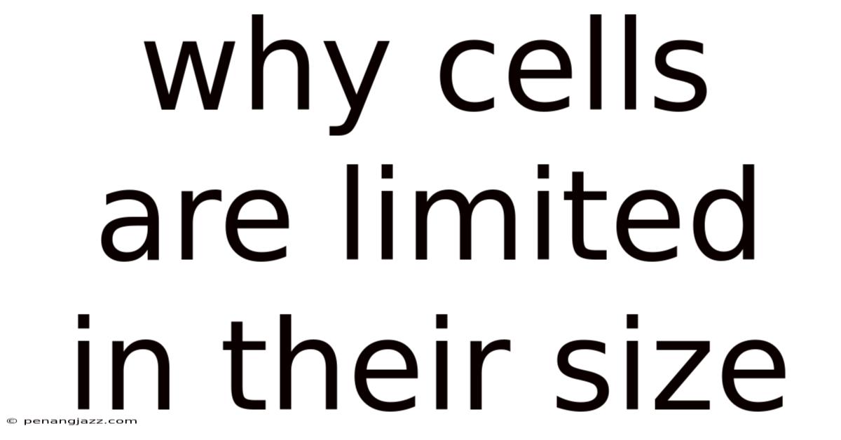 Why Cells Are Limited In Their Size
