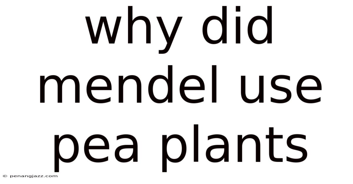 Why Did Mendel Use Pea Plants