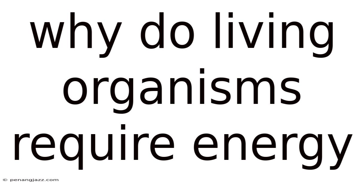 Why Do Living Organisms Require Energy