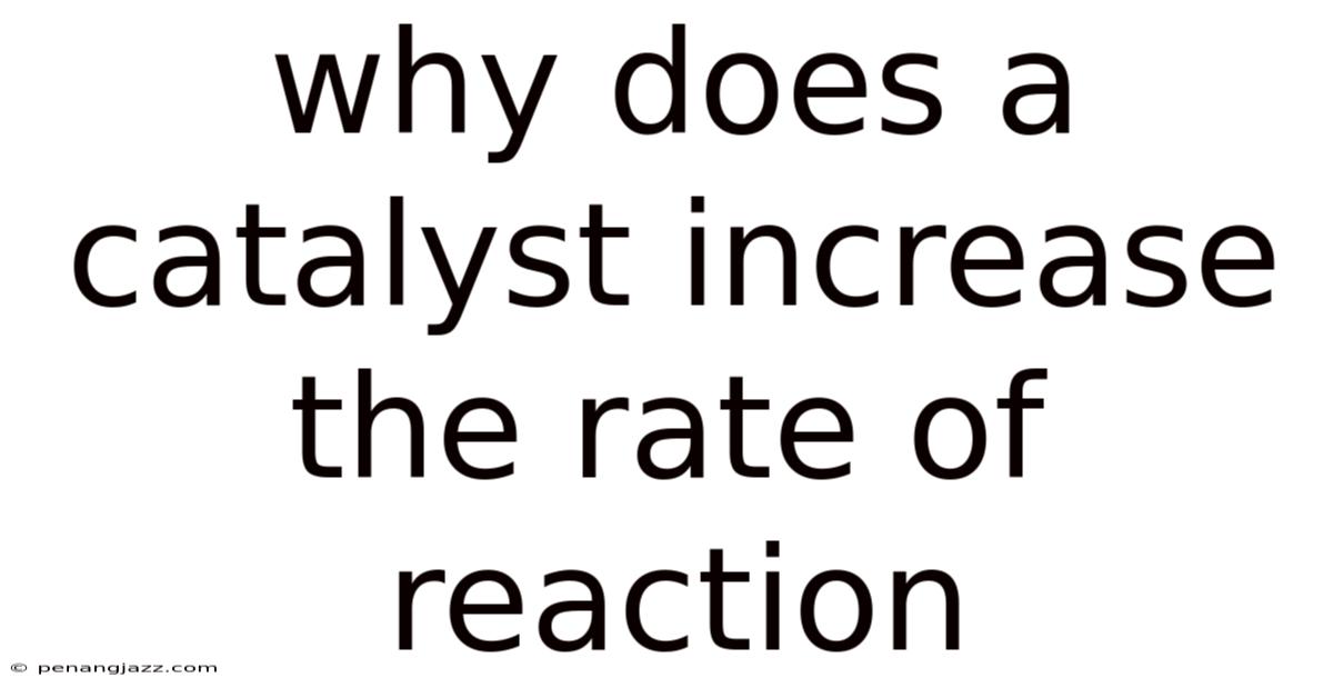 Why Does A Catalyst Increase The Rate Of Reaction