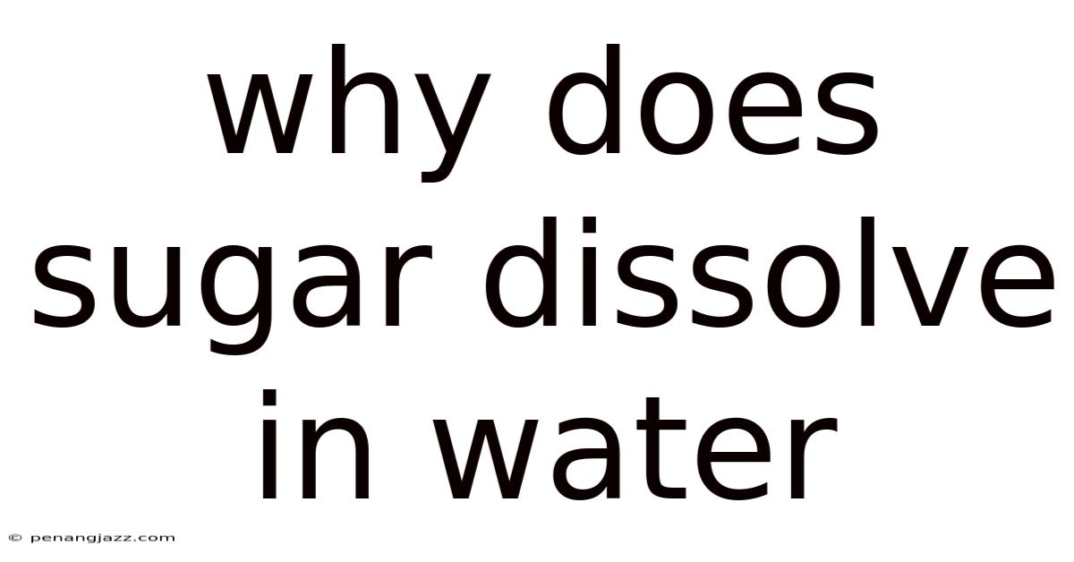 Why Does Sugar Dissolve In Water