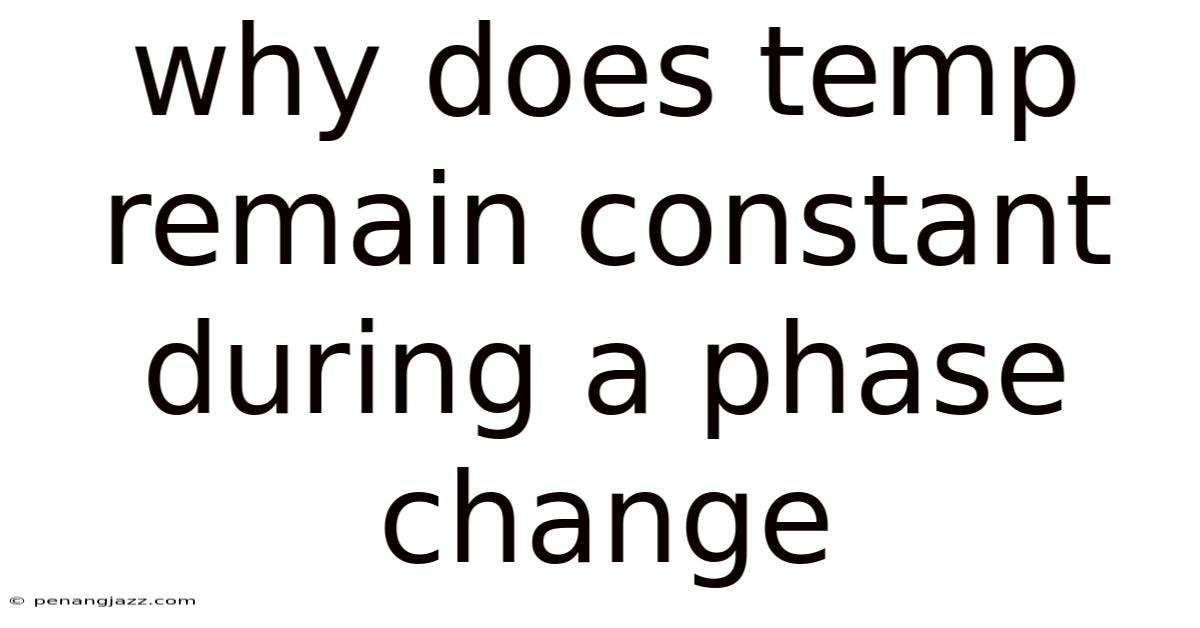 Why Does Temp Remain Constant During A Phase Change