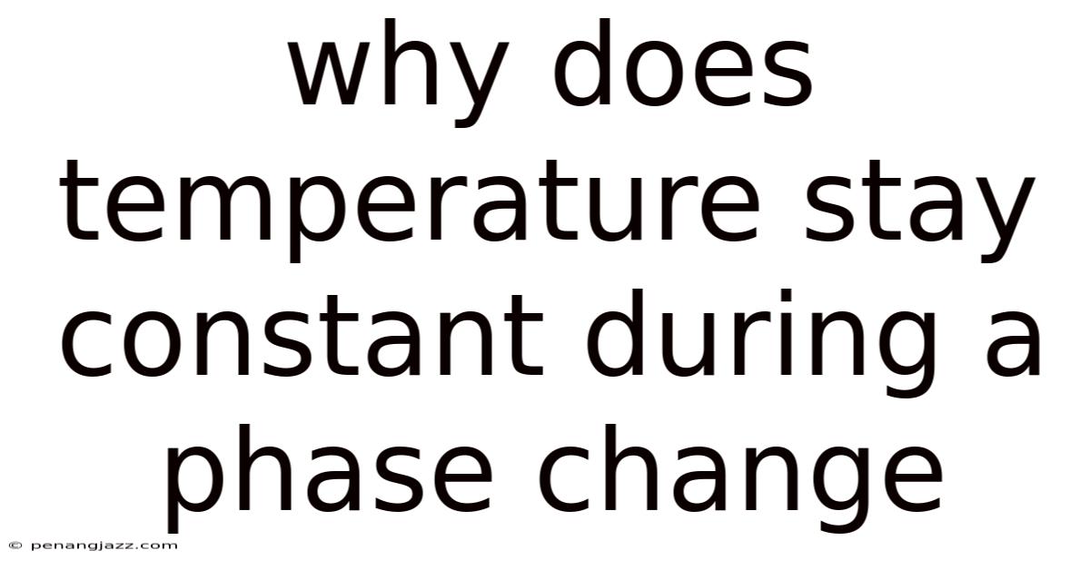 Why Does Temperature Stay Constant During A Phase Change