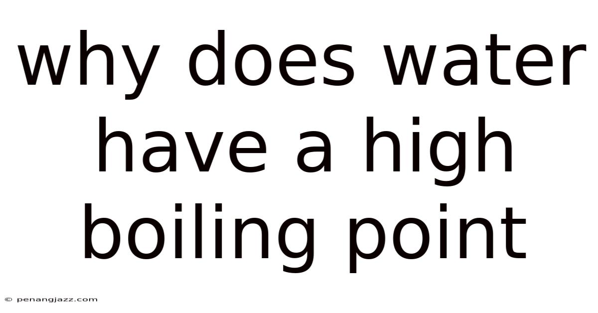 Why Does Water Have A High Boiling Point