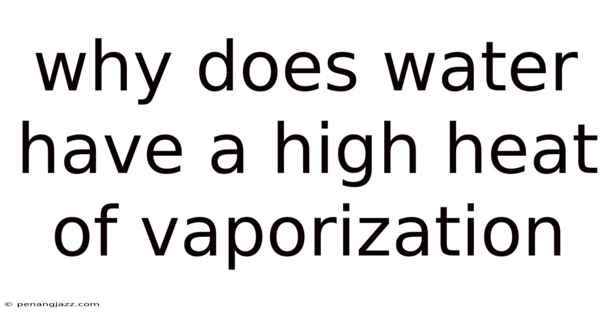 Why Does Water Have A High Heat Of Vaporization