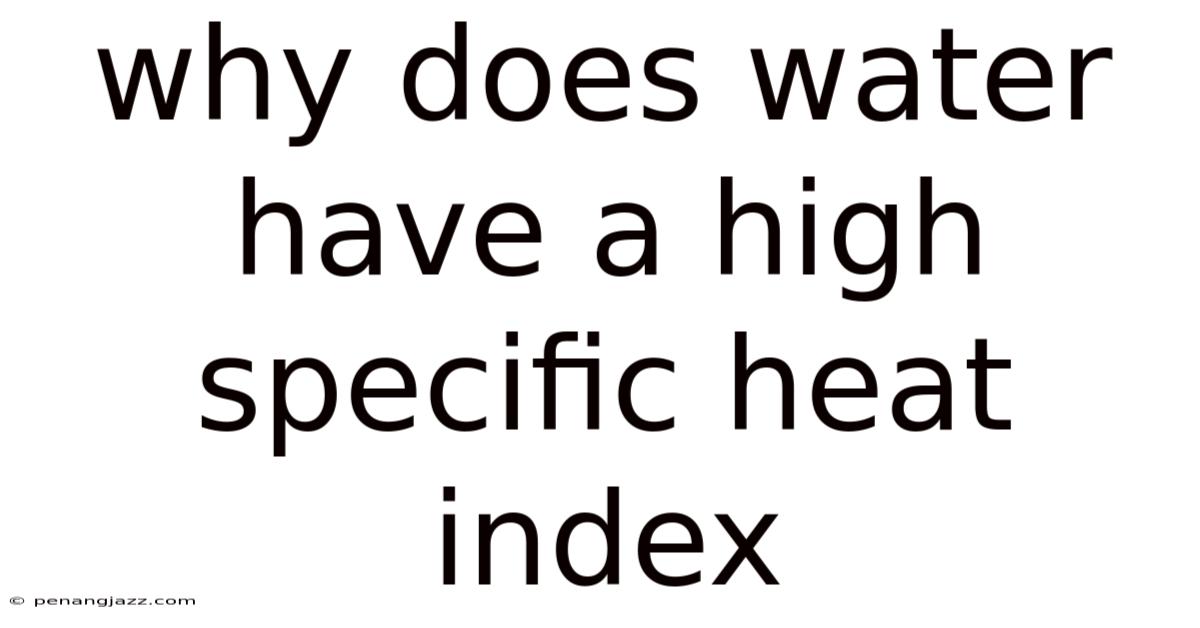 Why Does Water Have A High Specific Heat Index