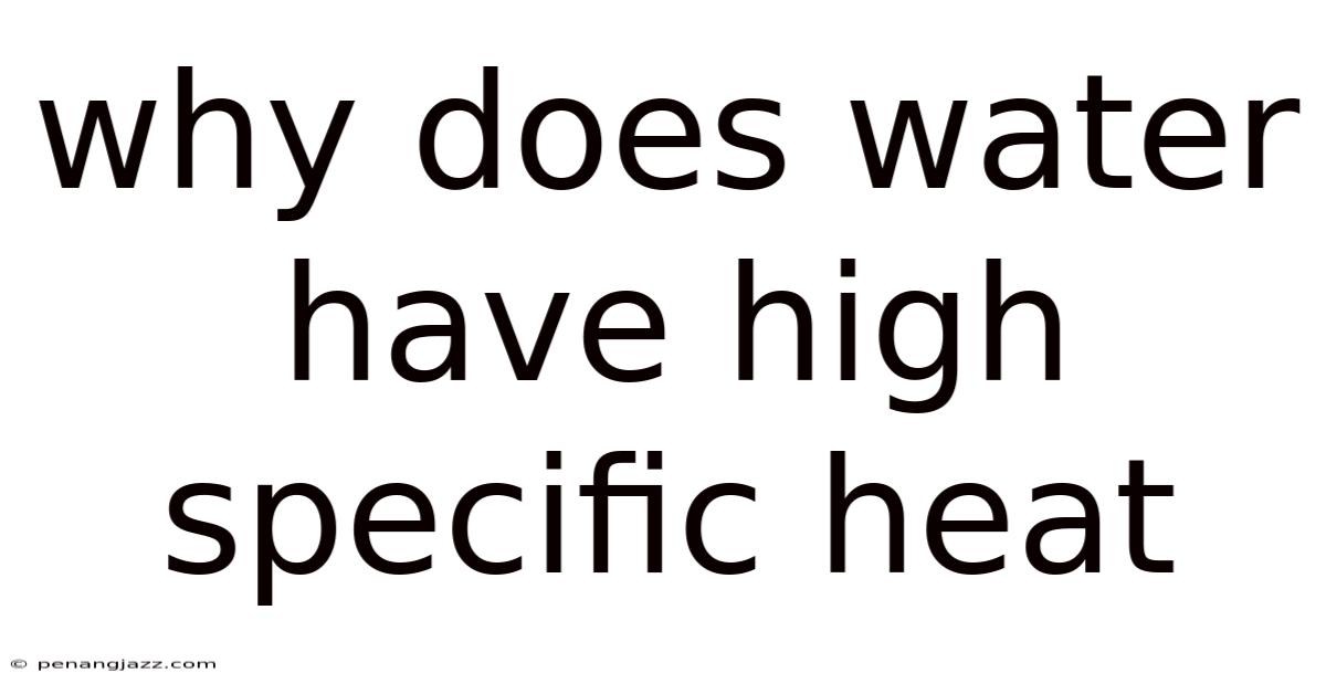 Why Does Water Have High Specific Heat
