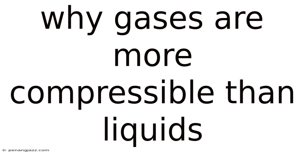Why Gases Are More Compressible Than Liquids