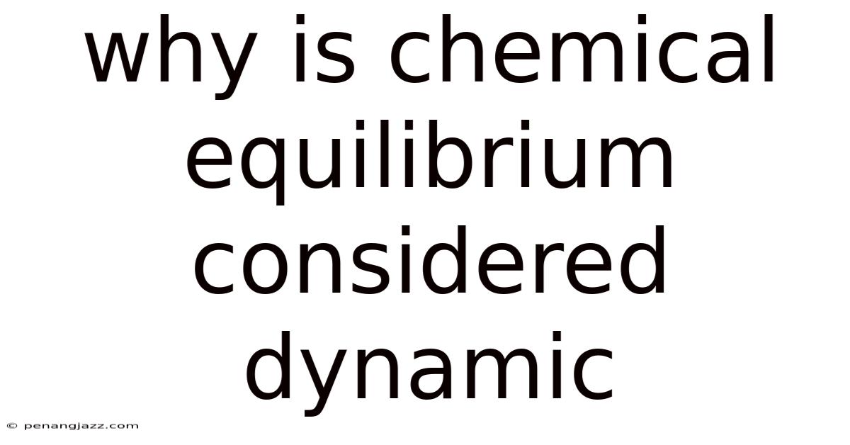 Why Is Chemical Equilibrium Considered Dynamic