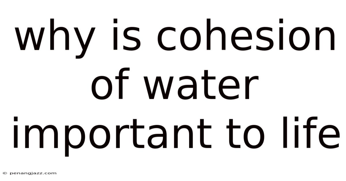 Why Is Cohesion Of Water Important To Life