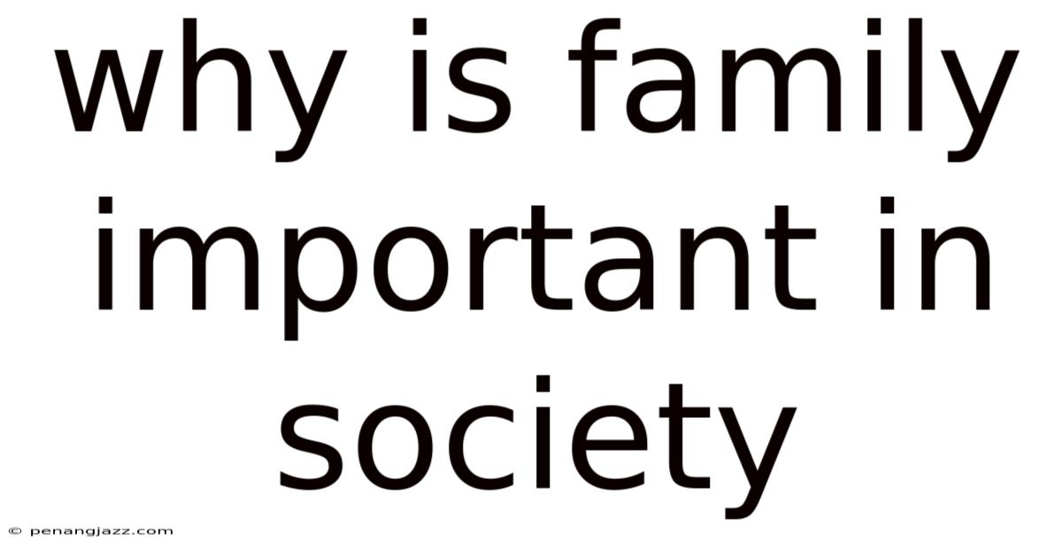 Why Is Family Important In Society