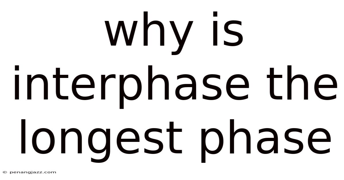 Why Is Interphase The Longest Phase