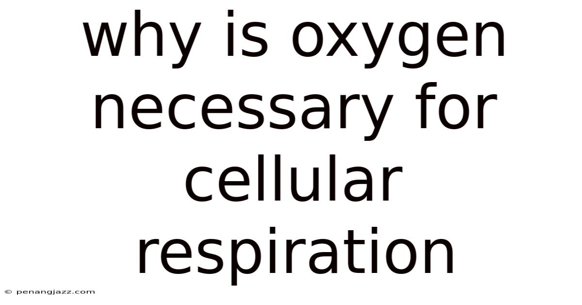 Why Is Oxygen Necessary For Cellular Respiration