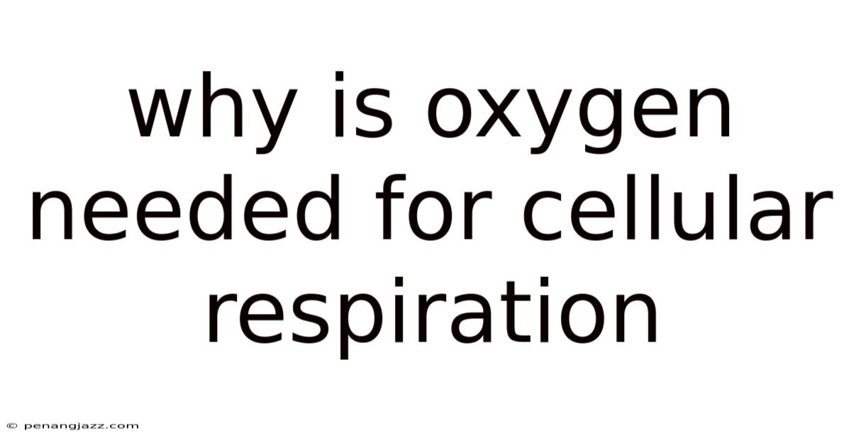 Why Is Oxygen Needed For Cellular Respiration