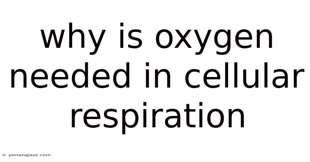 Why Is Oxygen Needed In Cellular Respiration