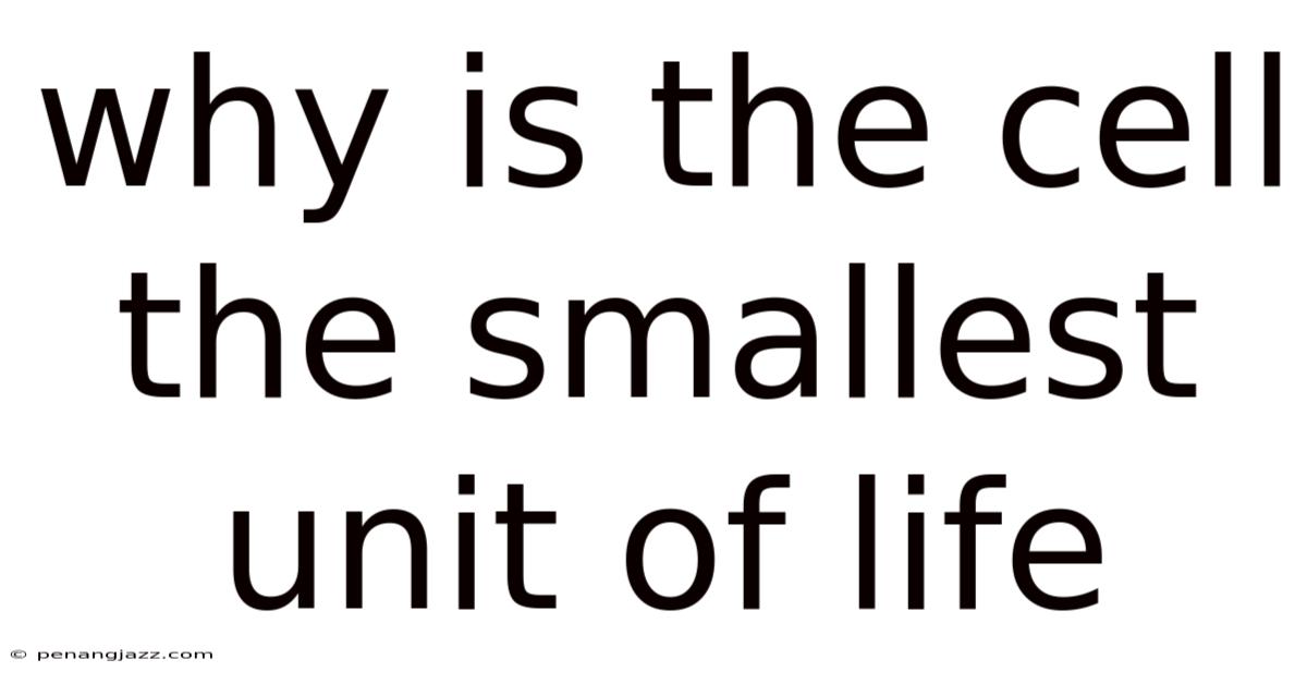 Why Is The Cell The Smallest Unit Of Life
