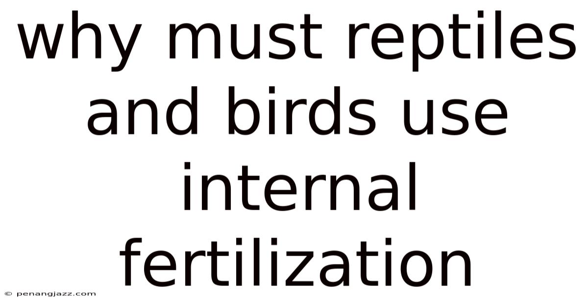Why Must Reptiles And Birds Use Internal Fertilization