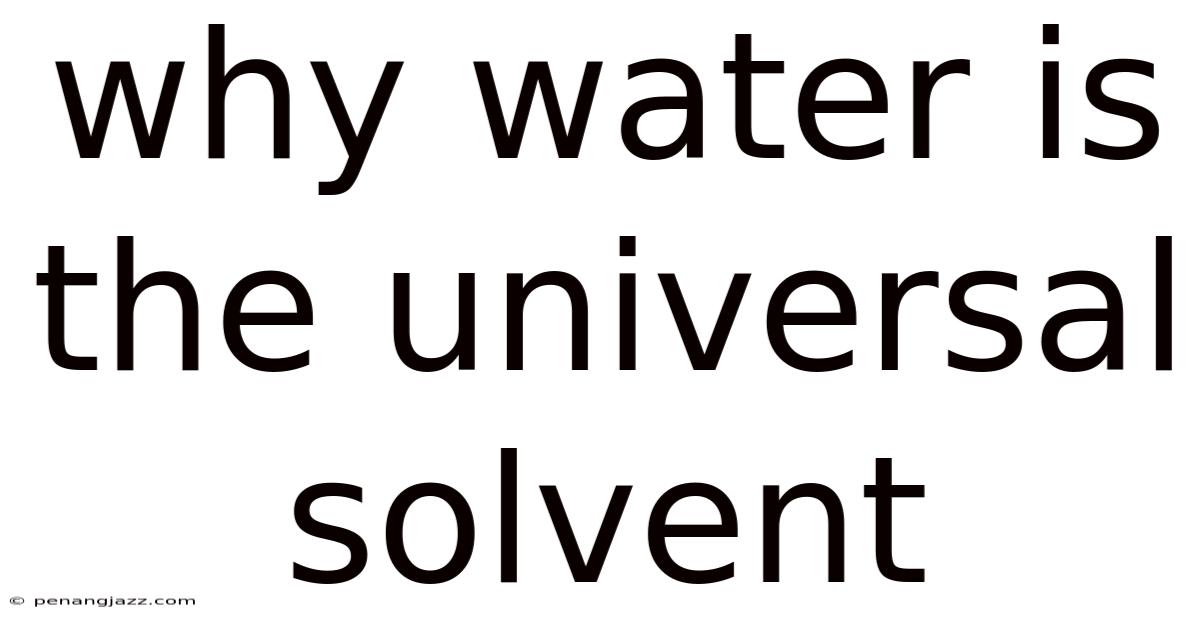 Why Water Is The Universal Solvent