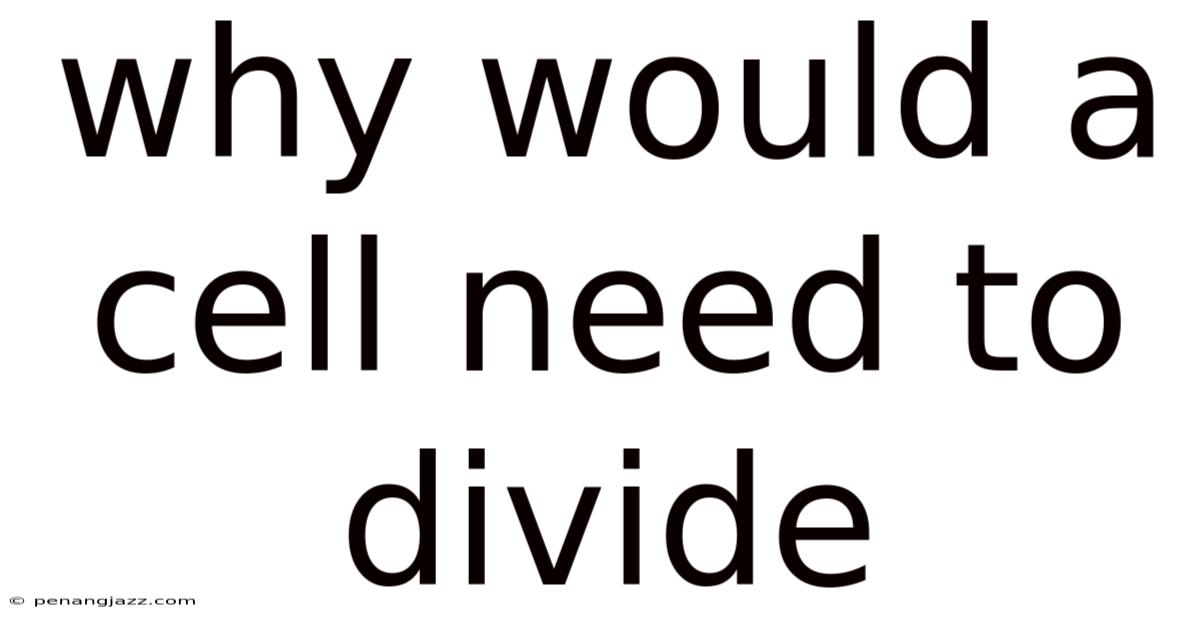 Why Would A Cell Need To Divide