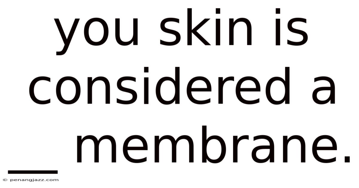 You Skin Is Considered A __ Membrane.